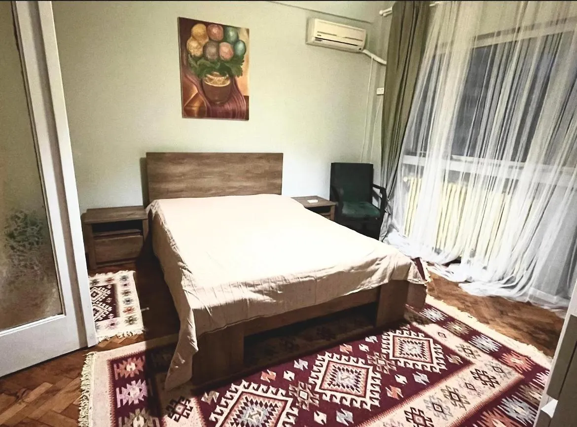Appartement Comfortable Downtown Flat Bucarest